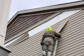 Best Siding Painting and Refinishing  in Lindsborg, KS